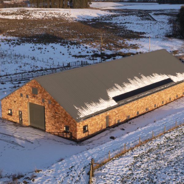 Christmas warehouse photo